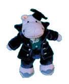 Haydn Hippo